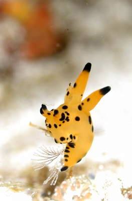 �����@��l